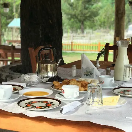 Guest house 'gurra Family' *